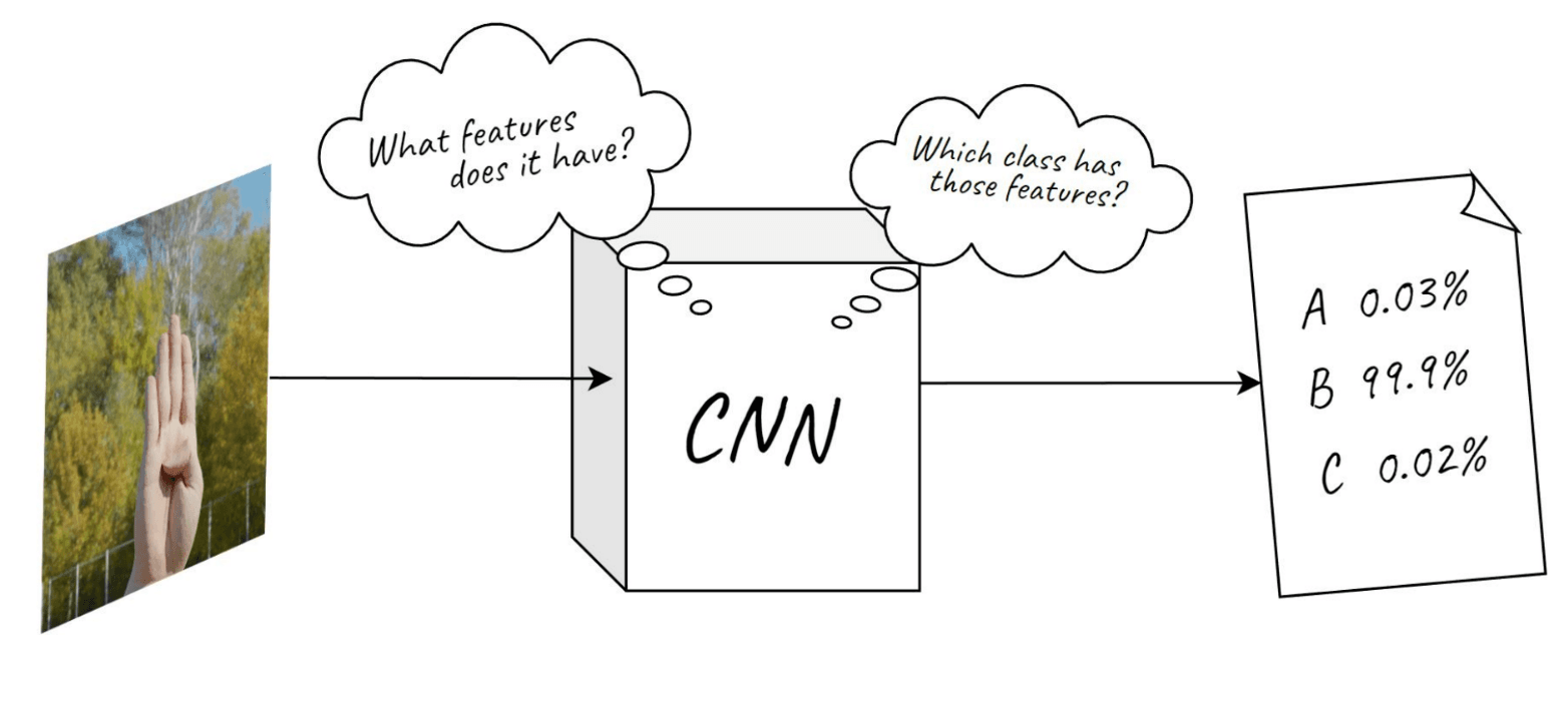 How Does a CNN Work