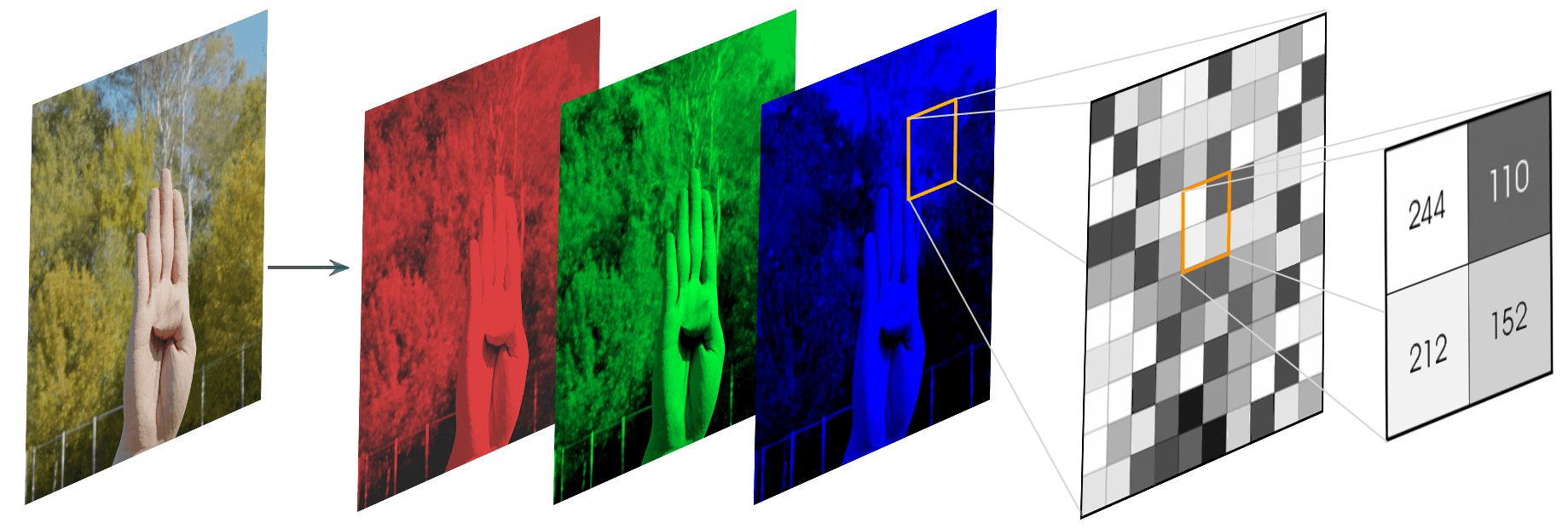 RGB Components of an Image