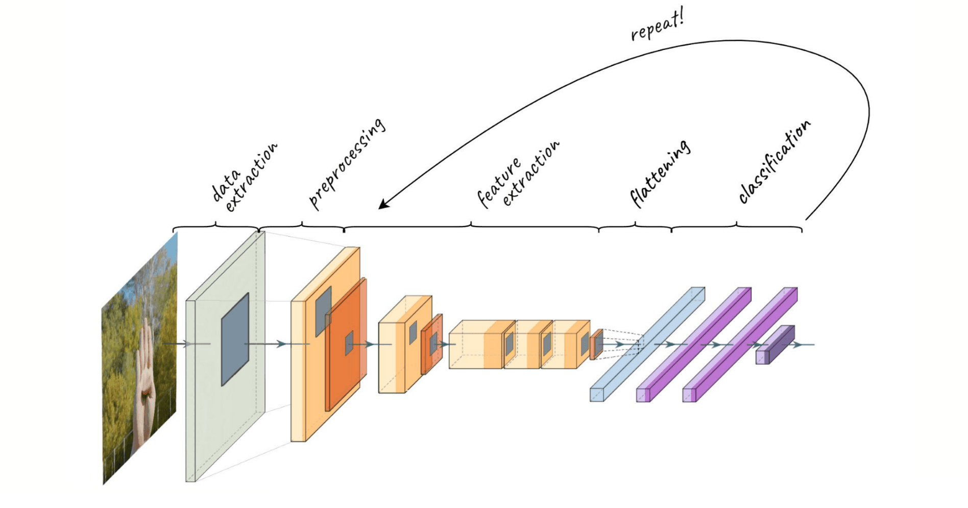 Simplified Diagram of My Model